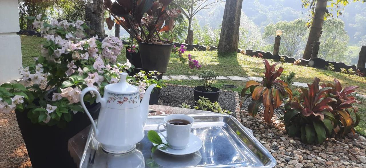 Ceylon Rich Leaves Ella Bed & Breakfast Dış mekan fotoğraf
