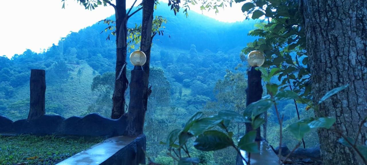 Ceylon Rich Leaves Ella Bed & Breakfast Dış mekan fotoğraf